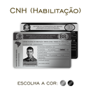 Cartão CNH Habilitação de Metal | Eternize