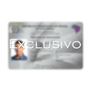 Cartão do seu documento em metal inoxidável Platinum Eterno gravado a laser premium - frente com informações pessoais. Melhor que PVC.